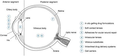 Hydrogel Biomaterials for Application in Ocular Drug Delivery